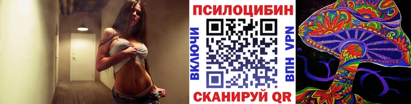 Галлюциногенные грибы Psilocybe Гурьевск